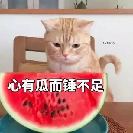 沙雕表情包姐妹出来吃瓜
