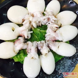 头像小萌妹墨鱼仔