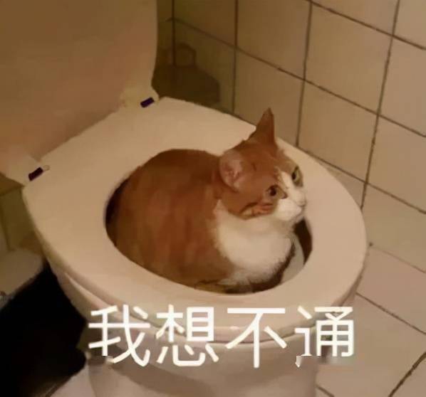  看到腾讯新出的企鹅形象后,我们决定宣布两件大事