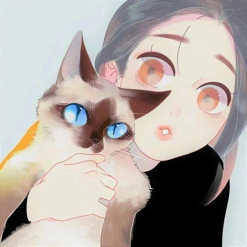  头像泡面加蛋,烦恼滚蛋