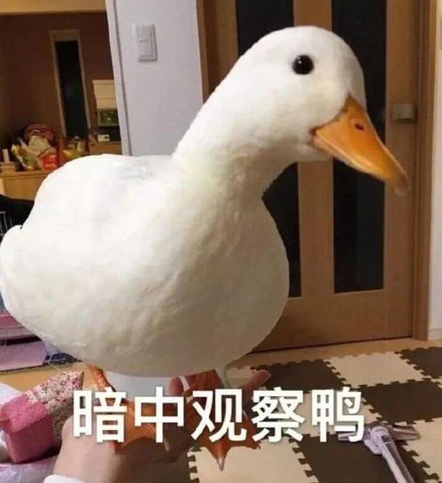  只要反派长得帅,三观跟着五官跑朱一龙竟是女性心中最帅反派