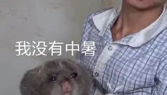  华农兄弟竹鼠中暑是什么梗和意思竹鼠别吃我表情包