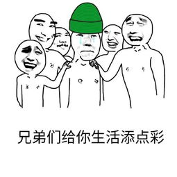  当然是选择原谅她系列绿帽子白百何出轨系列表情包卓伟爆白百合出轨腾牛下载