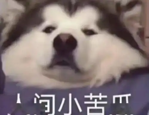  ding快来解锁你的假期形状吧
