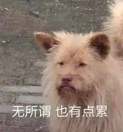好多人啊 表情包丑狗