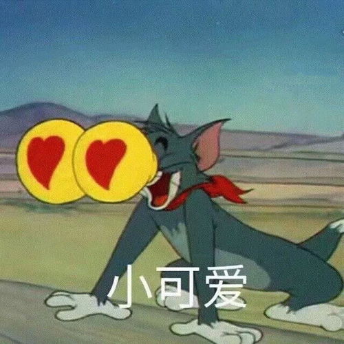 表情包动图猫和老鼠