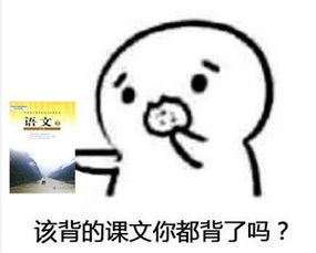 蒙的全对喷雾表情包