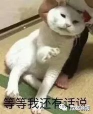她说的都是对的表情包
