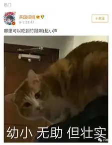 华农兄弟表情包中暑内伤