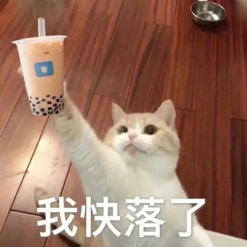 长得美怪我咯表情包表情