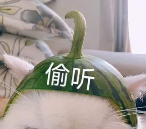  柜姐给你免费化妆到底有多强