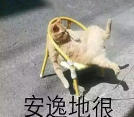  打豁嗨这个动作传染起来,跑都跑不落