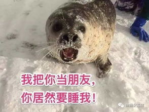  12星座女朋友生气了怎么哄