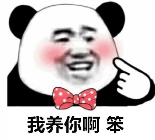  孙一宁王思聪聊天记录表情包,我命油我不油天