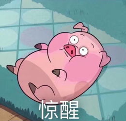  最大风力七级热带低压已来袭,未来几天小岛持续倒水模式