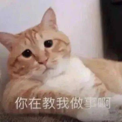  搞笑聊天表情包i你在教我做事啊