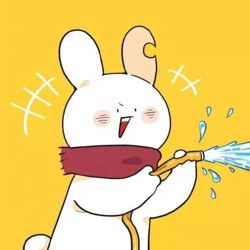 看起来毫无关系的情侣头
