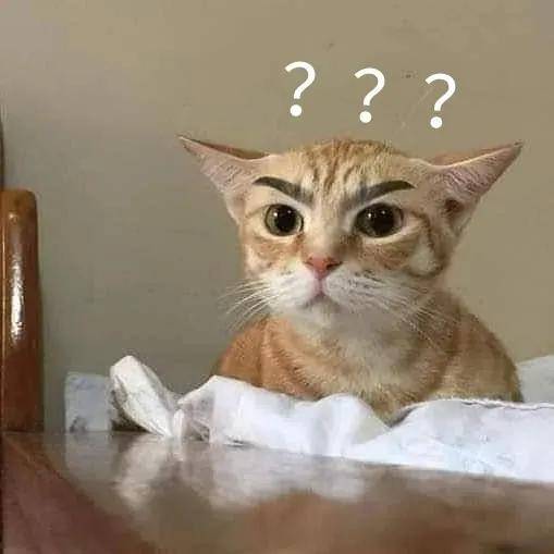 奇怪的知识猫表情包奇怪