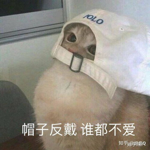  我骂了一个嘴贱的亲戚,然后她还笑,是啥子原因