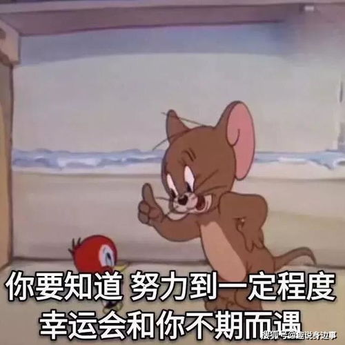 汤姆猫看报纸表情包gre