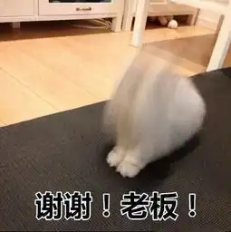  谢谢老板表情包2019最新版