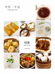  粑粑麻麻带着两个宝贝逛香港