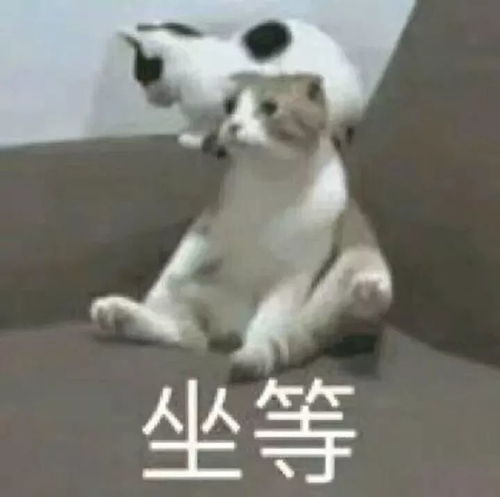  这些认真自拍的男人,你hold得住吗