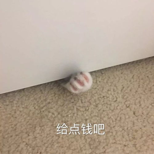  如何用表情包花式哭穷