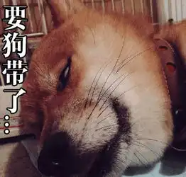 柴犬跳表情包北登