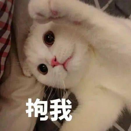 让我静静表情包穷人