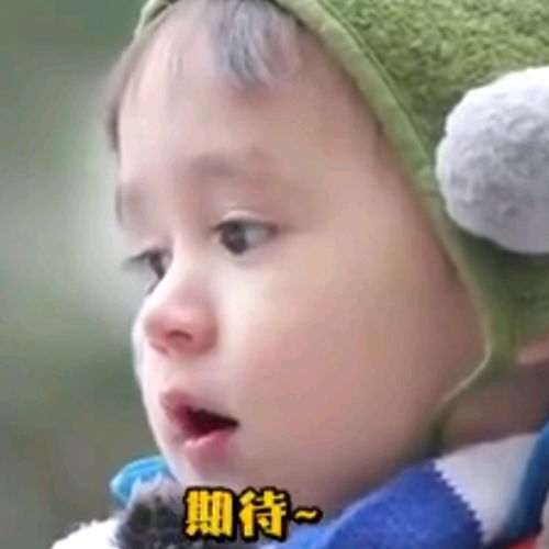  本特利表情包第一弹