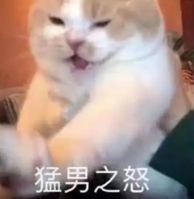  e句话舒淇说,不要打扰侯孝贤平静的生活了