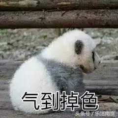  19度到31度,南京一秒开启高温模式