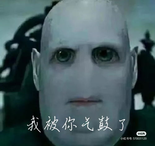  有没有关于伏地魔的沙雕图适合做头像的那种能去水印就更好啦