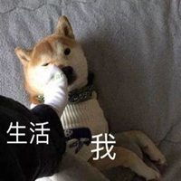  孤单弱小又无助表情包微信头像图片大全