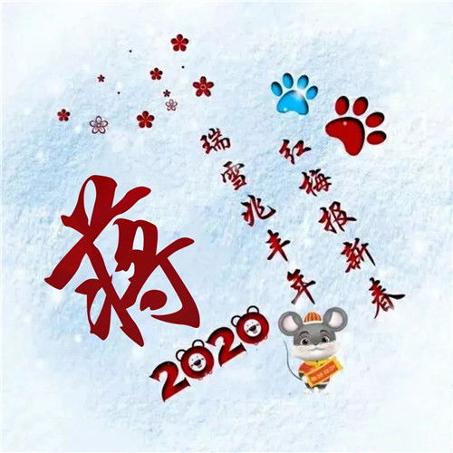  寓意吉祥好兆头的姓氏头像图片瑞雪兆丰年红梅报新春