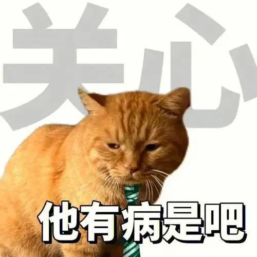  这多少有点病丨第962期喵表情包