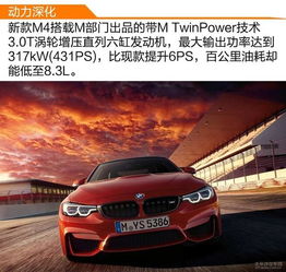 2025最佳微信头像宝马
