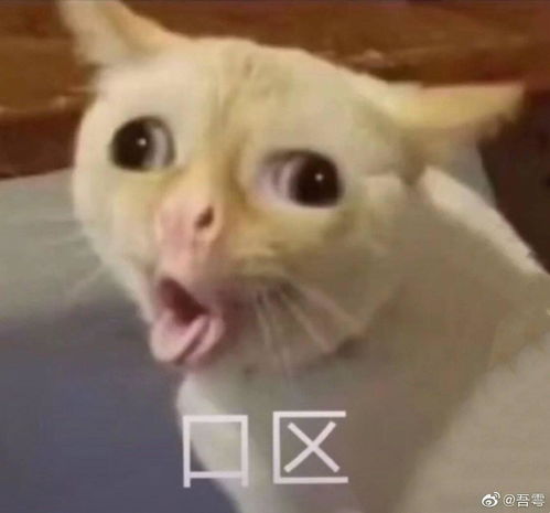  哈哈哈哈哈哈,环球的人被怼了