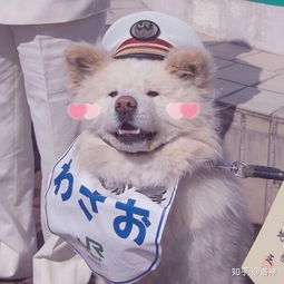  你们看到过最丧的句子是什么