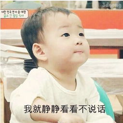  小龙视频直播全集小龙资料大全yy官方