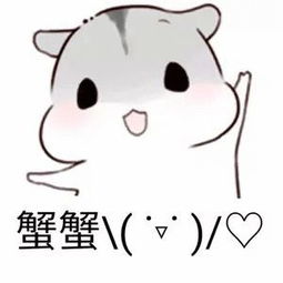  资讯民大六周年活动来袭,清购物车欢乐谷门票等你来拿