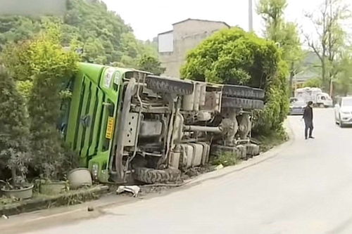  货车压倒大树树主人声称没16万不准吊