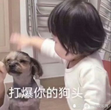  直男敷衍式聊天,句句令人窒息,网友真想锤爆他的狗头