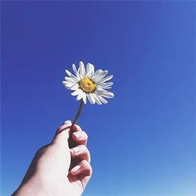  风景或花草的微信头像