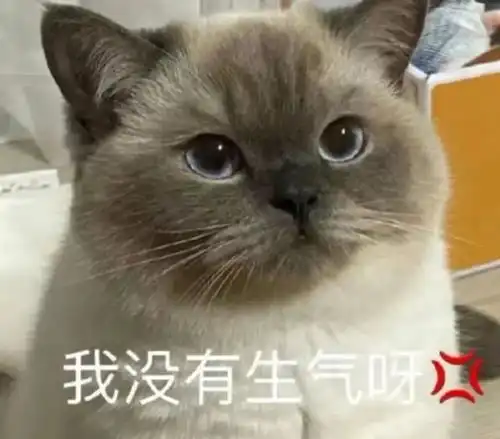  每日萌宠表情包分享18