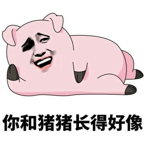  搞笑图片韩国网友分享了一张自己和黑人兄弟的自拍