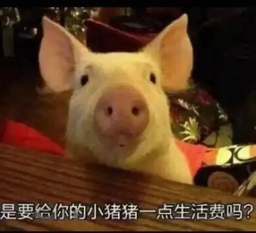  撒娇专用的宠物表情包,请收下我的爱