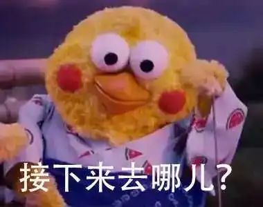  沉迷吃鸡,无法自拔搜狐宠物搜狐网