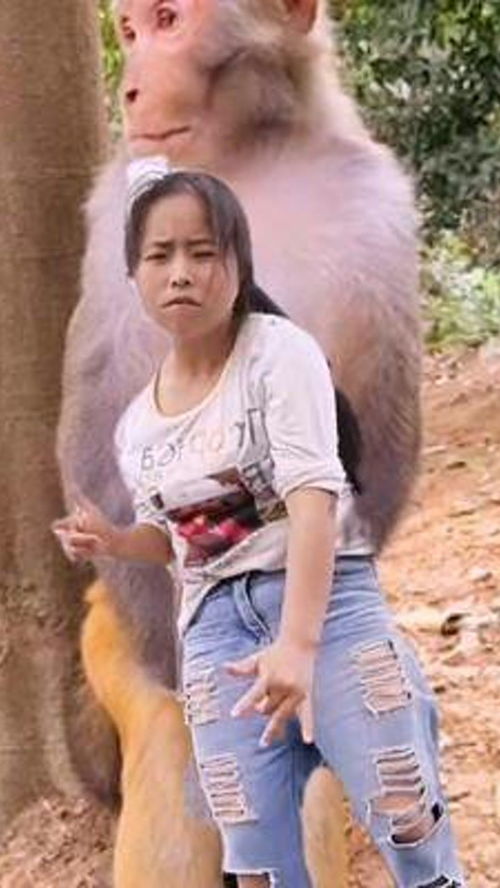  猴哥,你这表情啥意思嘛猴子成精爱护大自然保护野生动物